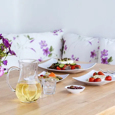 Windmill Santorini Exclusive Retreat 빌라 이메로비글리